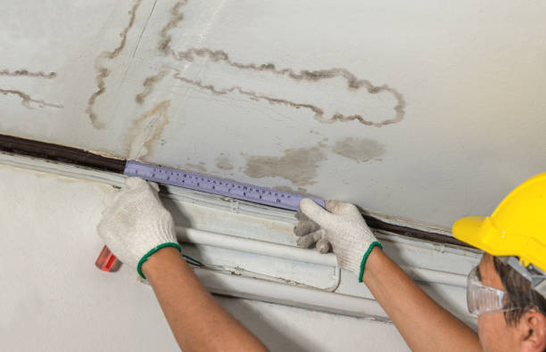 Reliable Water Damage contractor in Springfield, IL by Water Damage Irwin